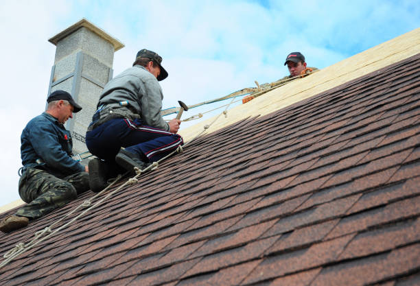Best Roof Inspection Near Me  in Oak Ridge North, TX